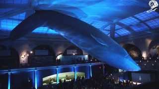 G-Star, Bionic & Vortex Project: Raw for the Oceans