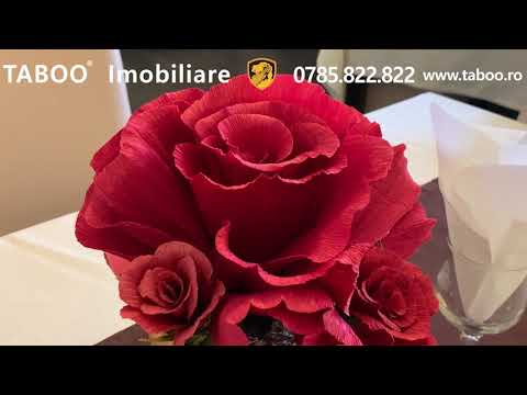 PENSIUNE de vanzare in Fagaras 1400mp (400mp amprenta - 1000mp teren)