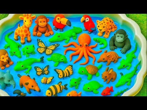 Kids Learn | Animals With Stripes & Spots!  | Toy & Real Patterned Animals for Toddlers | Preschool