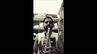 Isn't She Lovely (Stevie Wonder) - interp. David Sanborn (cover)