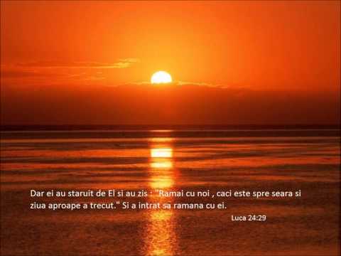 Nicu Wagner-Cantare de seara