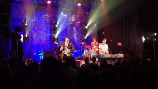 They Might Be Giants - Mammal