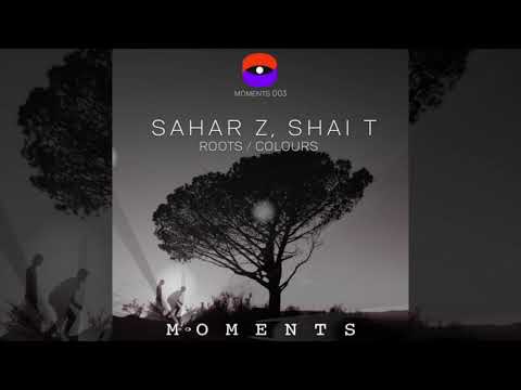 Sahar Z, Shai T -  Colours