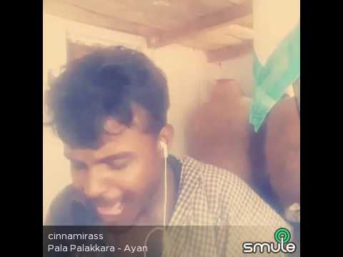 Pala palakkura pakala ne