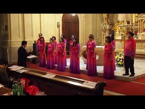 Sing'n'Joy Vienna 2018 - Friendship concert - Nanyang Music & Art Society (Singapore)