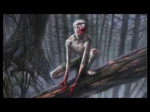 Xerogi   - Do Not Be Afraid Of Agony