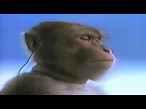 Steam Workshop::My mods