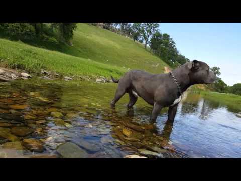 First days of spring 2016