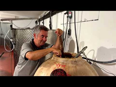 Can Feliu: wein-seeliges Erlebnis auf Mallorca