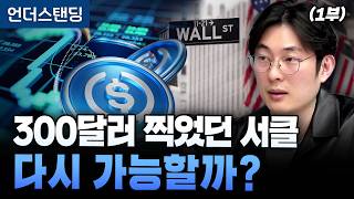 (1부) 300달러 찍었던 서클 다시 가능할까? (원더프레임 김동환 대표)