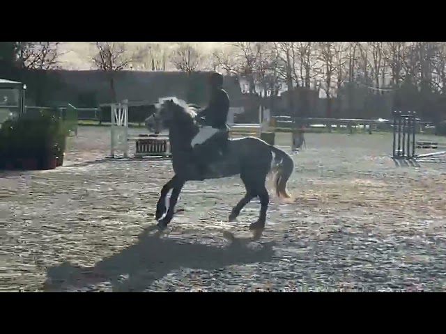 commence les CCJP CSO, bon coup de saut