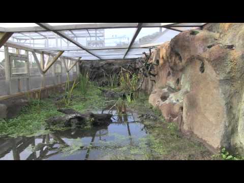 Simon Whitehead visits the set of the BBC Two's The Burrowers