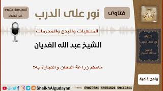 صورة ماحكم زراعة الدخان والتجارة به؟ الشيخ الغديان - مشروع كبار العلماء