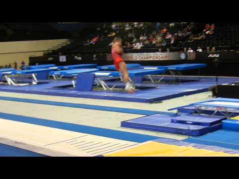 2014 Worlds Tumbling Alexander Mironov RUS 2nd pass Prelims Men