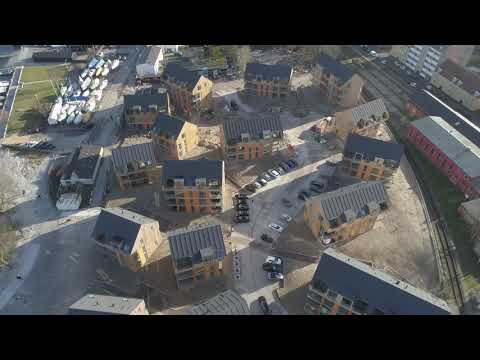 Kronborg Strand 02.02 2020