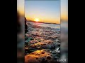 Roja Bgm