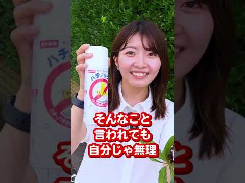 園芸 孤独なスズメバチ、素晴らしくて便利