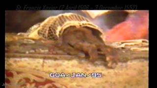 Saint Behind The Glass (Los Lobos)