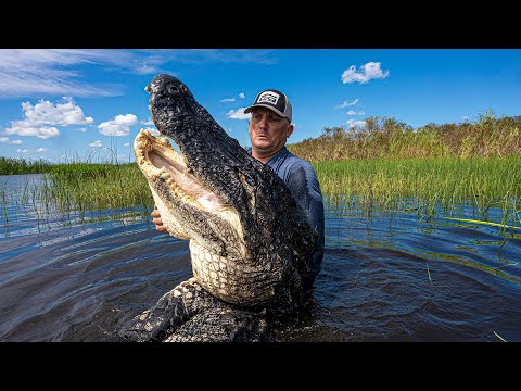 This Alligator was MASSIVE!!! {Catch Clean Cook} Asian Alligator Bites With Sticky Sesame Sauce