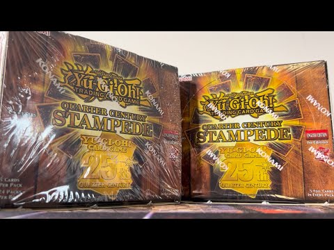 OPENING QUARTER CENTURY STAMPEDE