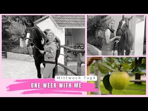 OWWM Tag 4 I Wölbchen modelt I Trauriges Ende I Mein Job beim Krämer Fotoshooting