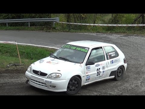 Passaggi esterni 4° Rally del Piemonte 2018 Dossi-Bertonasco Saxo N2
