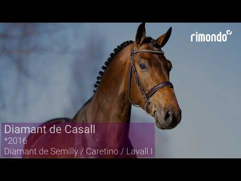 Diamant de Casall