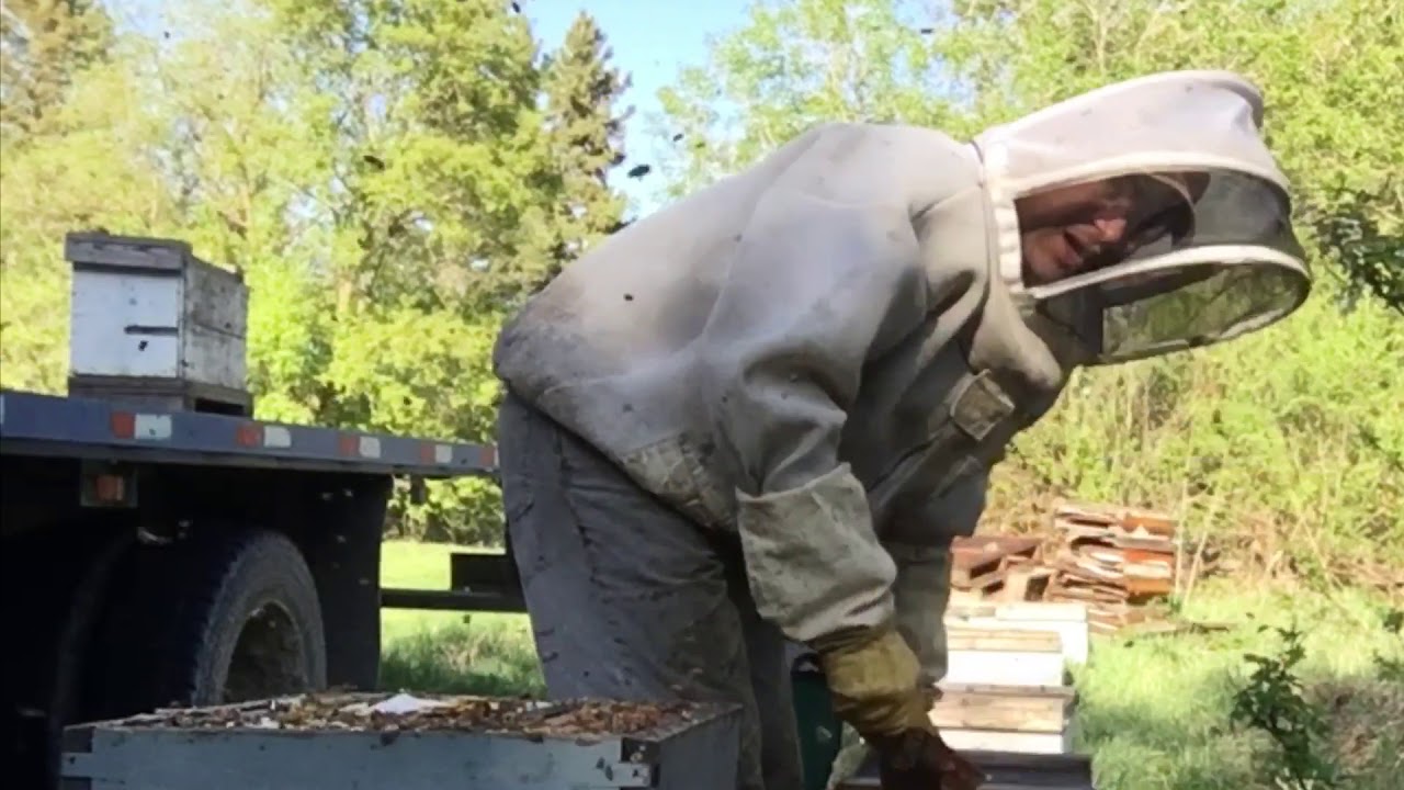 Setting up Queen Cell Builders