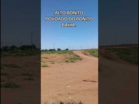 Bonito
