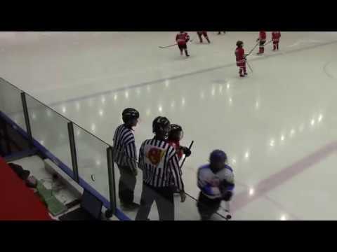 Narva PSK F09 4 : 3 HC Panter F