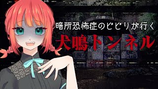 🦀【 TeamAIS 】暗所恐怖症のビビりがひとりでホラゲ配信～エイプリルフール企画罰ゲーム～【 犬鳴トンネル｜Inunaki Tunnel 】