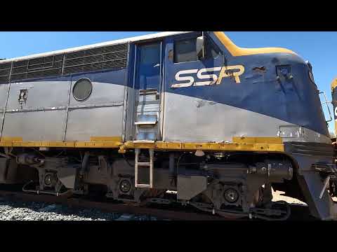 S311 walk Bogan Gate West NSW.  Tue 06th Jan 2025