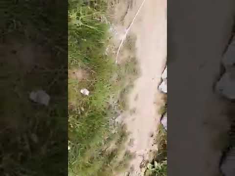 Primarul din Malu Mare a luat angajatii sa ii faca curat apoi au aruncat gunoiul in camp ..