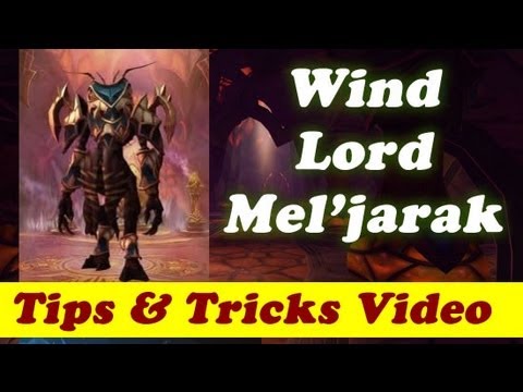 Wind Lord Mel'jarak 10 man normal - guide - tips and tricks Paladin Tank PoV with Narration