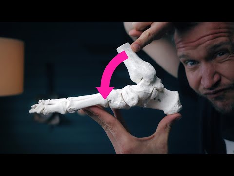 Warum Läufer MOBILE Sprunggelenke haben sollten - Erklärung & Übungen