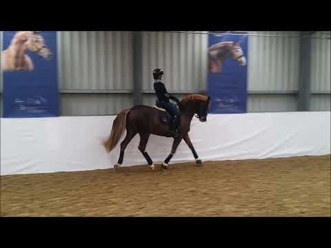 Dreidimensional AT NRW 2021