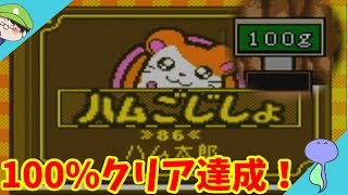 隠し要素完全攻略!!!小石集めと辞書完成！なのだ!!-とっとこハム太郎2 ハムちゃんず大集合でちゅ-