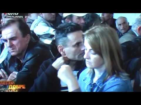 Zilogriz   Gorica TV PRVA