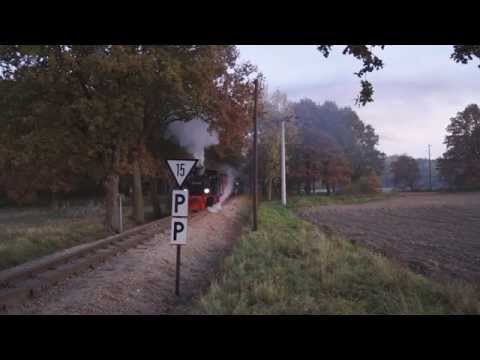 Herbstdampf mit 99 4652 beim Pollo 2015