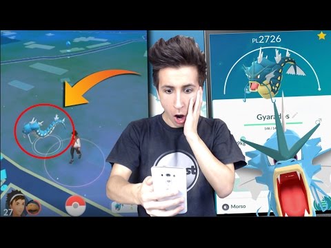 Ho CATTURATO GYARADOS SELVATICO! Non ci credo! | POKEMON GO ITA