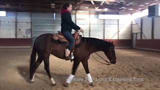 The Warm Up: Long Extended Trot (Hannah and TC)