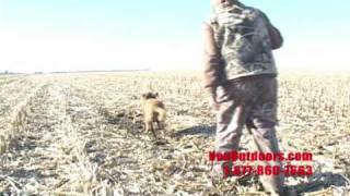preview picture of video 'Spring Snow Goose Hunt 2010 DECOY & DESTROY with Neu Outdoors'