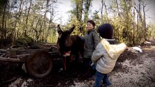 preview picture of video 'La ferme du Chemin de Diesles - 2015'