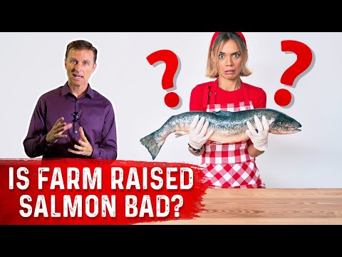 Top 5 Weight Loss Mistakes – Dr Berg