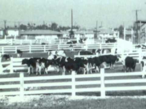 Agricultura em Torrance, História Antiga e Morte - Centenário de Torrance