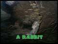 01 Magic English Example