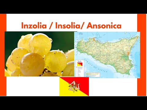 Insolia, Inzolia, Ansonica - An Alluring Sicilian White Wine Variety