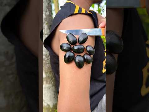 Part 30 ✅ Survival Skills:Smart idea and useful in Forest #camping #outdoors #survival #shorts