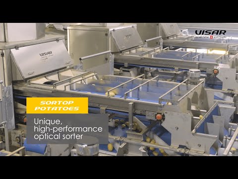 Visar Sorting Sàrl : Sortop Potatoes - optical high-performance sorter for potatoes