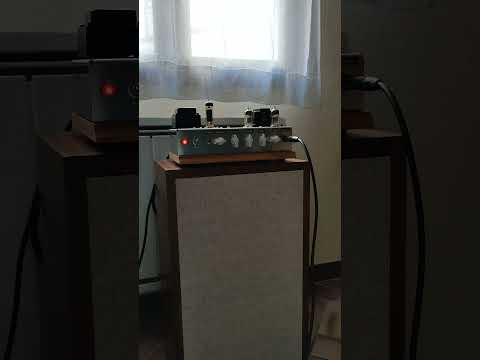 Tête d'ampli clone MARSHALL PLEXI 4 watts EL84 - Lampes apparentes Bild 7